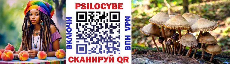 Галлюциногенные грибы MAGIC MUSHROOMS  blacksprut tor  Александровск-Сахалинский 